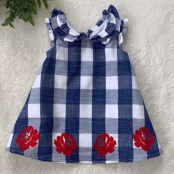 Janie and Jack Other - Janie and Jack Cotton Dress 6-12M Blue & White Check EUC